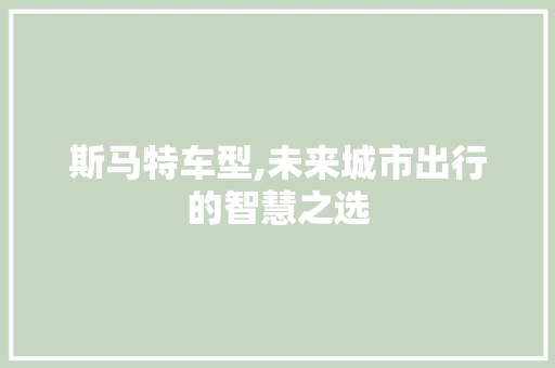 斯马特车型,未来城市出行的智慧之选