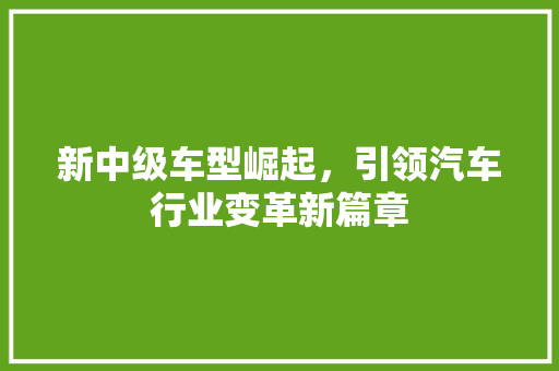 新中级车型崛起，引领汽车行业变革新篇章