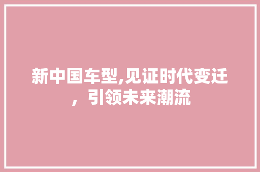 新中国车型,见证时代变迁，引领未来潮流