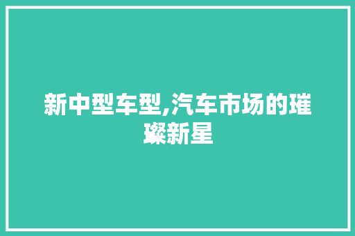 新中型车型,汽车市场的璀璨新星