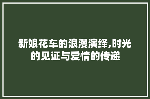 新娘花车的浪漫演绎,时光的见证与爱情的传递
