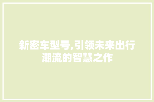 新密车型号,引领未来出行潮流的智慧之作