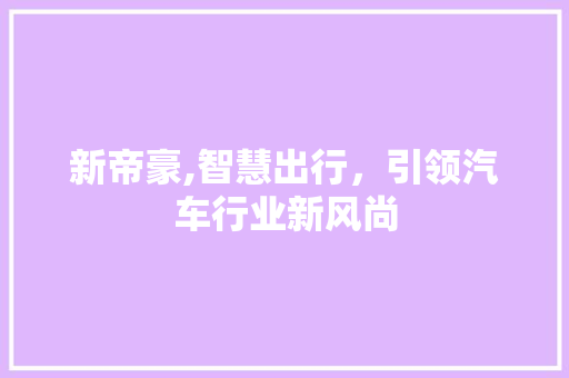 新帝豪,智慧出行，引领汽车行业新风尚