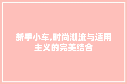 新手小车,时尚潮流与适用主义的完美结合