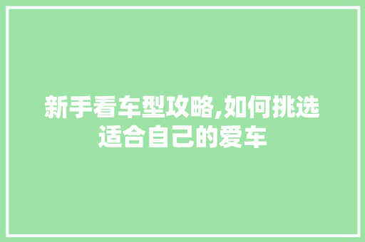 新手看车型攻略,如何挑选适合自己的爱车