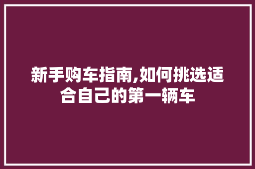新手购车指南,如何挑选适合自己的第一辆车