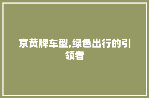京黄牌车型,绿色出行的引领者