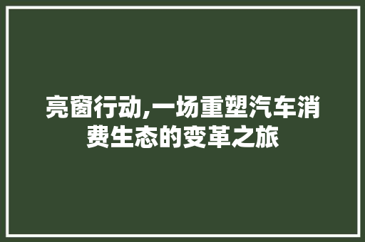 亮窗行动,一场重塑汽车消费生态的变革之旅