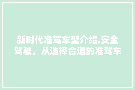 新时代准驾车型介绍,安全驾驶，从选择合适的准驾车型开始