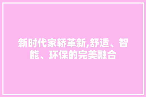 新时代家轿革新,舒适、智能、环保的完美融合 蓄电池配件