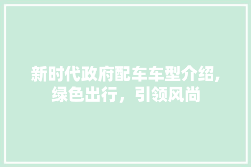 新时代政府配车车型介绍,绿色出行，引领风尚