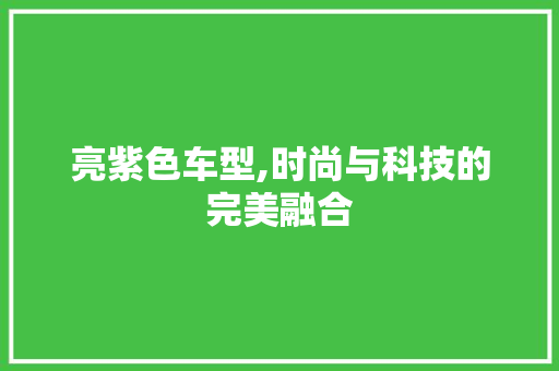 亮紫色车型,时尚与科技的完美融合