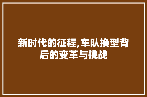 新时代的征程,车队换型背后的变革与挑战