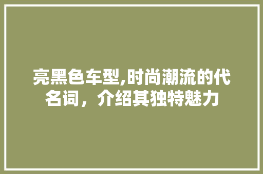 亮黑色车型,时尚潮流的代名词，介绍其独特魅力