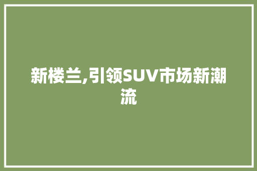 新楼兰,引领SUV市场新潮流