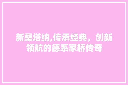 新桑塔纳,传承经典，创新领航的德系家轿传奇 变速箱配件