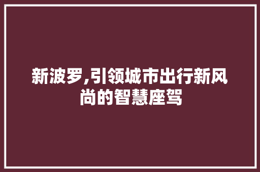 新波罗,引领城市出行新风尚的智慧座驾