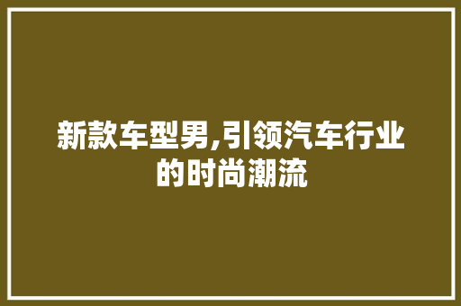 新款车型男,引领汽车行业的时尚潮流