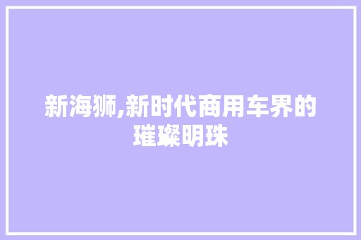 新海狮,新时代商用车界的璀璨明珠