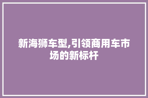 新海狮车型,引领商用车市场的新标杆