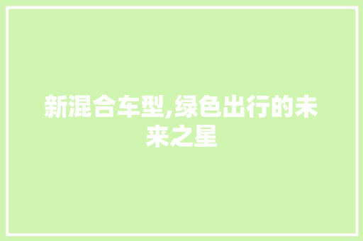 新混合车型,绿色出行的未来之星