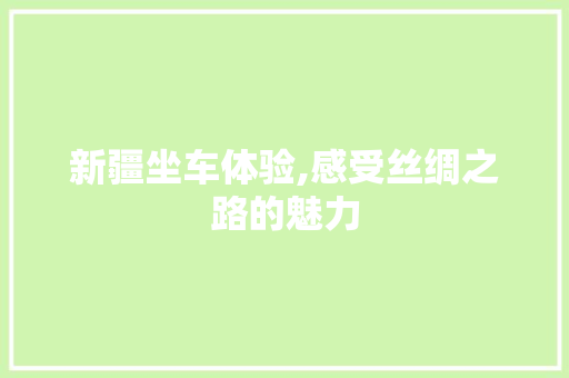 新疆坐车体验,感受丝绸之路的魅力