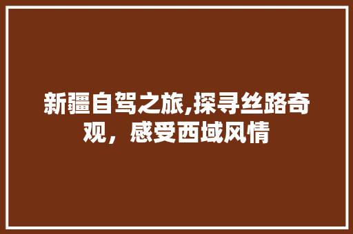新疆自驾之旅,探寻丝路奇观，感受西域风情