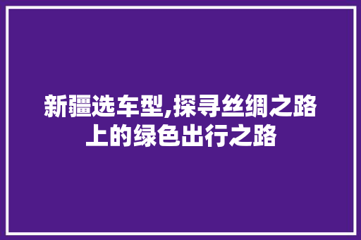 新疆选车型,探寻丝绸之路上的绿色出行之路