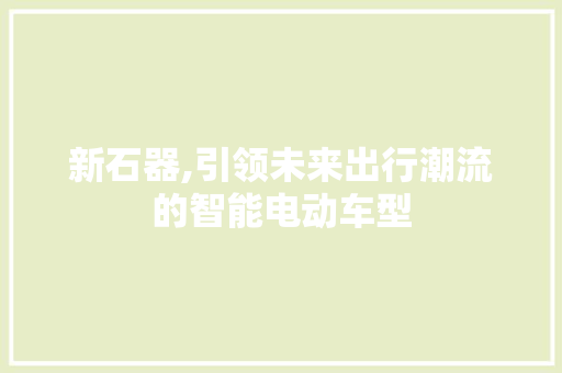 新石器,引领未来出行潮流的智能电动车型