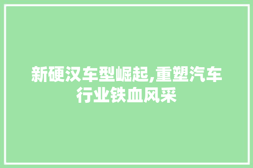 新硬汉车型崛起,重塑汽车行业铁血风采