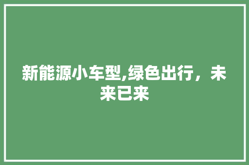 新能源小车型,绿色出行，未来已来