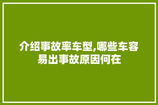 介绍事故率车型,哪些车容易出事故原因何在