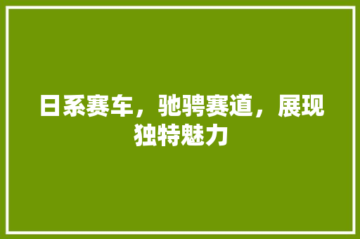 日系赛车，驰骋赛道，展现独特魅力