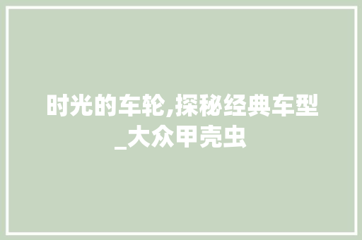 时光的车轮,探秘经典车型_大众甲壳虫