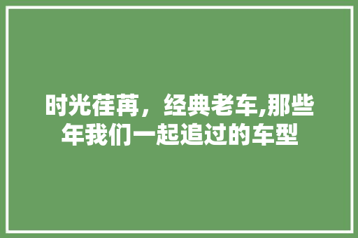 时光荏苒，经典老车,那些年我们一起追过的车型