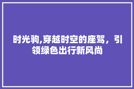 时光驹,穿越时空的座驾，引领绿色出行新风尚