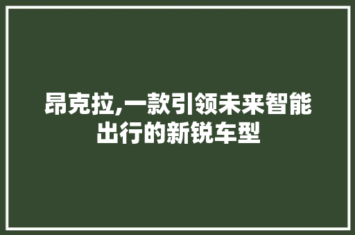 昂克拉,一款引领未来智能出行的新锐车型
