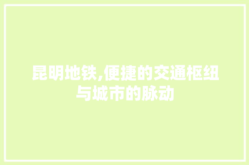 昆明地铁,便捷的交通枢纽与城市的脉动