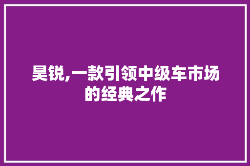 昊锐,一款引领中级车市场的经典之作