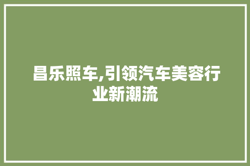昌乐照车,引领汽车美容行业新潮流