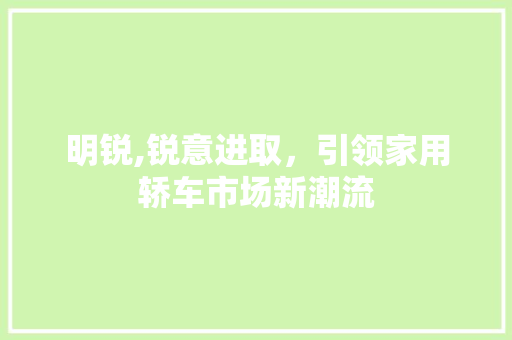 明锐,锐意进取，引领家用轿车市场新潮流