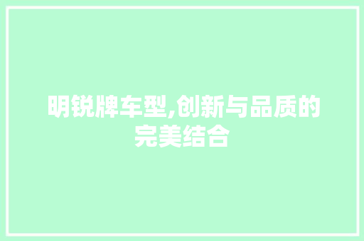 明锐牌车型,创新与品质的完美结合