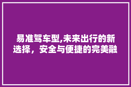 易准驾车型,未来出行的新选择，安全与便捷的完美融合