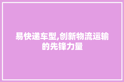 易快递车型,创新物流运输的先锋力量