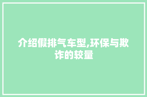 介绍假排气车型,环保与欺诈的较量 车灯配件