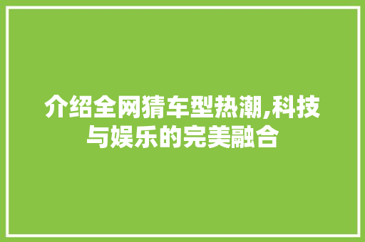 介绍全网猜车型热潮,科技与娱乐的完美融合