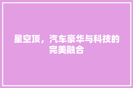 星空顶，汽车豪华与科技的完美融合