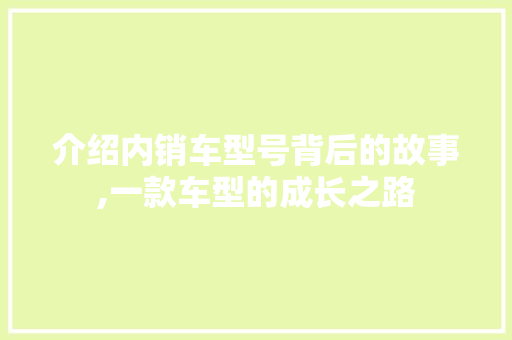 介绍内销车型号背后的故事,一款车型的成长之路