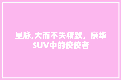 星脉,大而不失精致，豪华SUV中的佼佼者