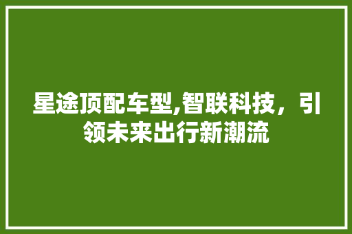 星途顶配车型,智联科技，引领未来出行新潮流